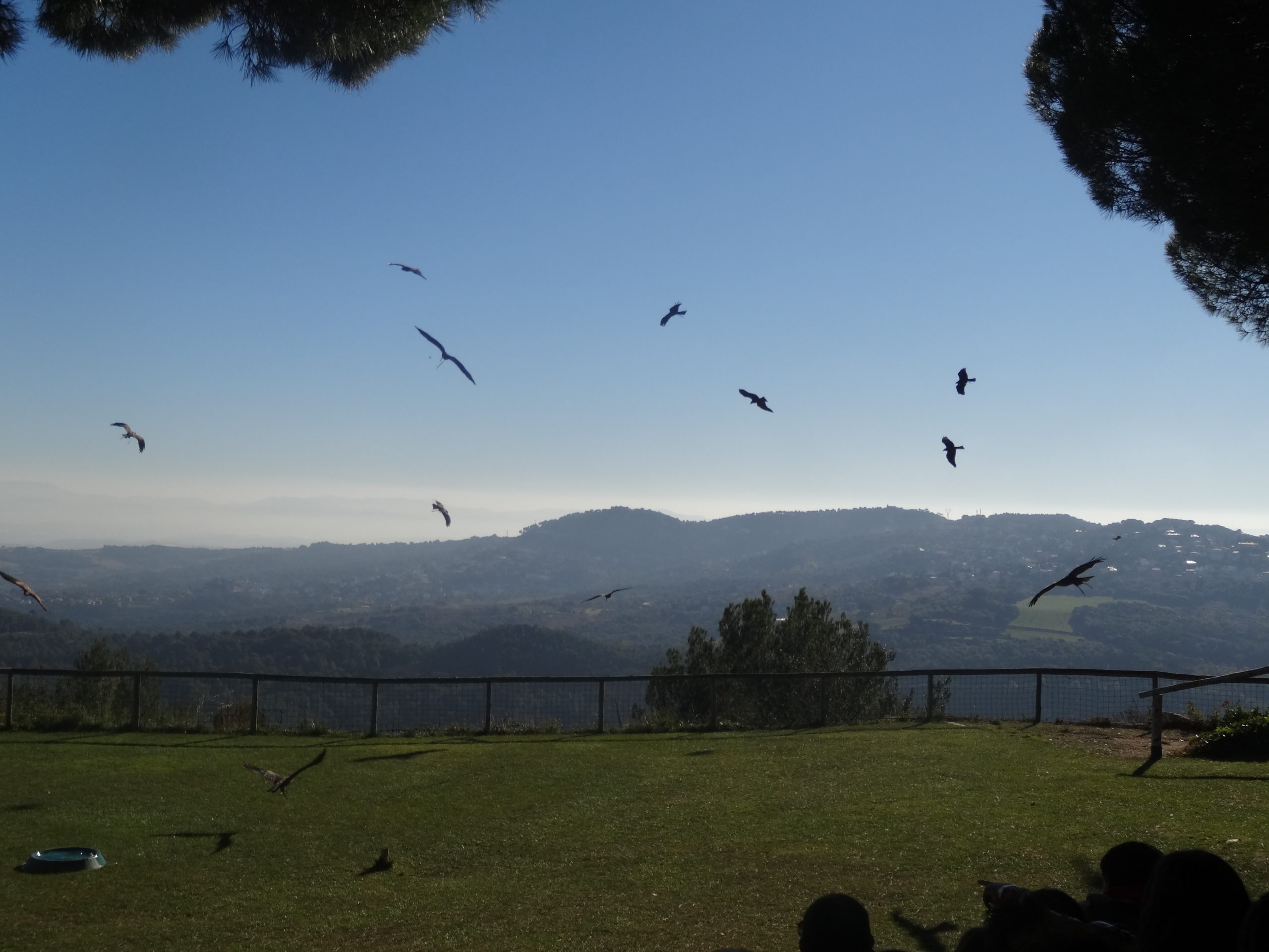 excursiones sant feliu de codines