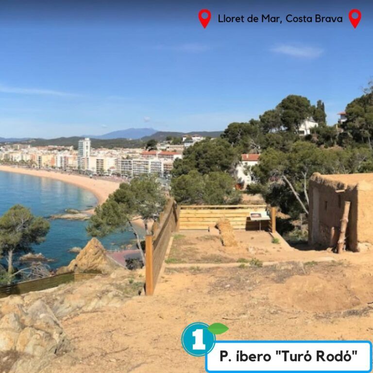 ruta turo rodo