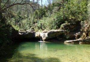 Gorg de l'olla de la ruta 7 gorgs campdevanol