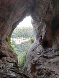 cova simanya