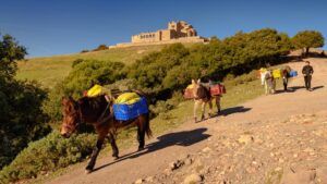 excursión a la mola